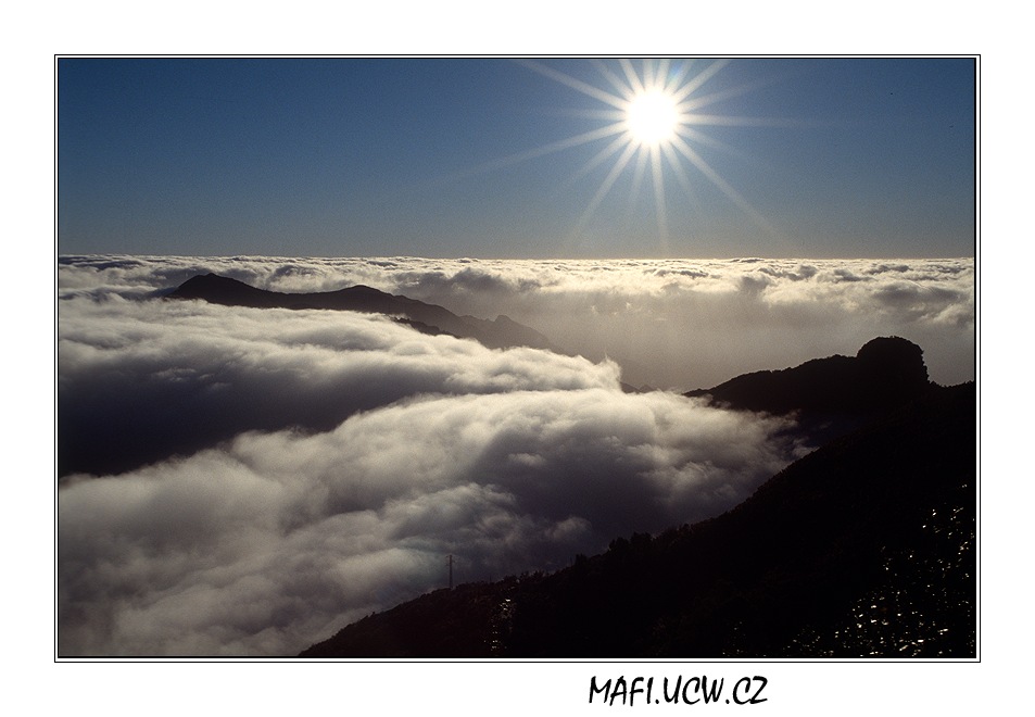 canaria06_04_07 .jpg